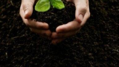 Project seeks sustainable soil remediation techniques