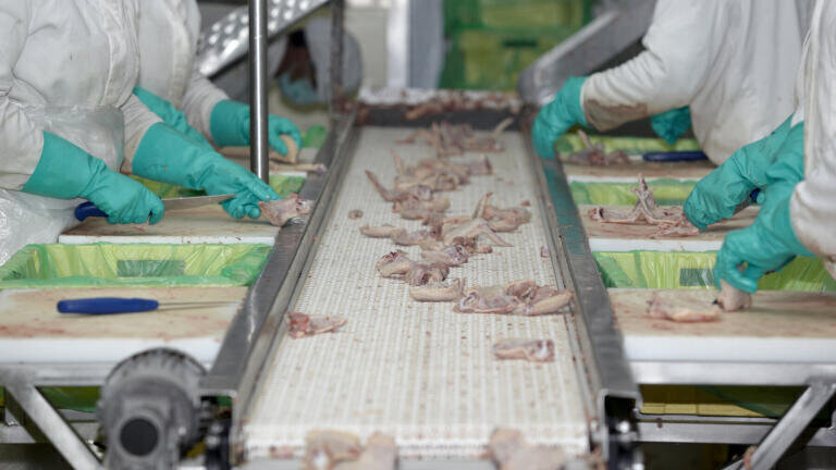 Undercover Guardian Investigation into Poultry Processing – Right Pumps and Maintenance are a Must