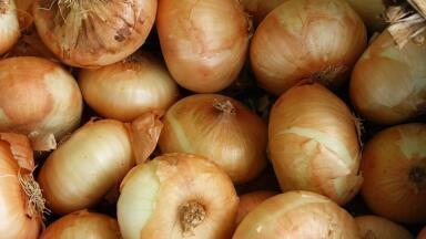 How to Clean-Up Toxic Waste … With Onions & Garlic
