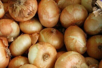 How to Clean-Up Toxic Waste … With Onions & Garlic