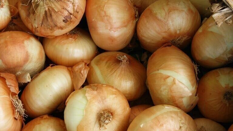 How to Clean-Up Toxic Waste … With Onions & Garlic
