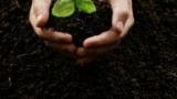 New Sustainable Biofertiliser Launched
