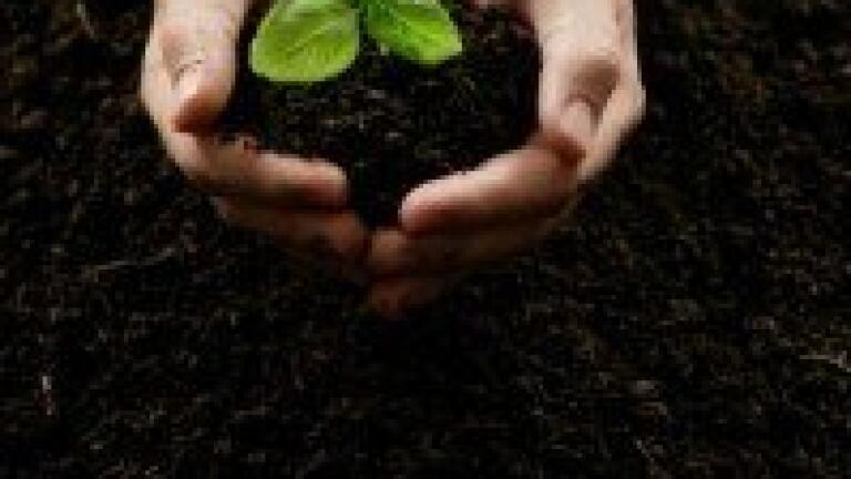 New Sustainable Biofertiliser Launched