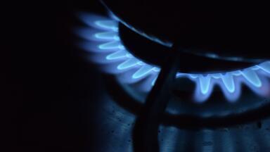 The Advantages & Disadvantages of Biogas