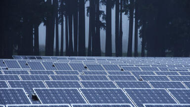 How Do Solar Farms Work?