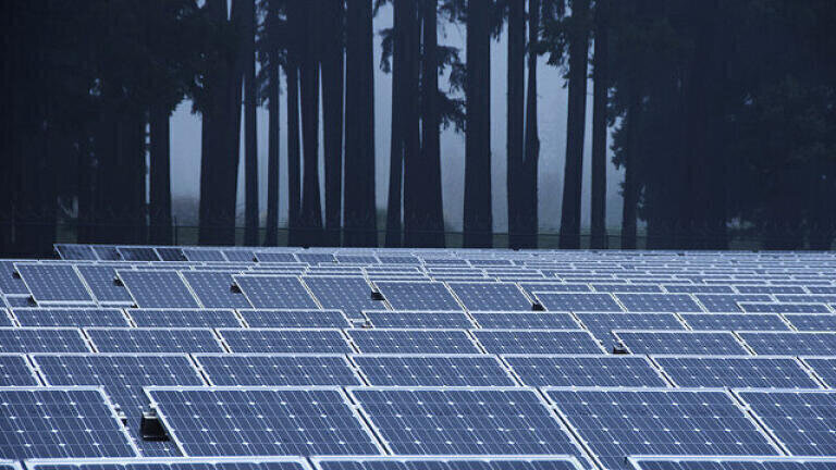How Do Solar Farms Work?