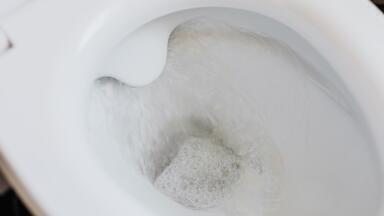 Turning Waste into Wattage – Britain’s first Excrement-Powered Bus