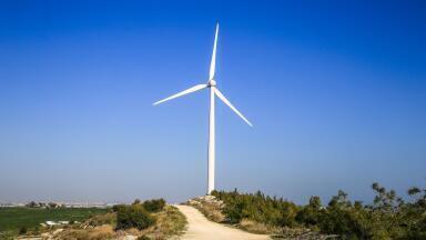 Are Tree Wind Turbines as Ugly as their Big Brothers?