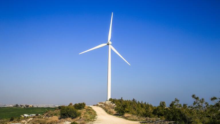 Are Tree Wind Turbines as Ugly as their Big Brothers?