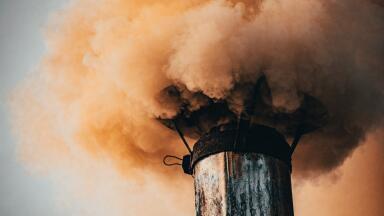 How Would You Curb Air Pollution?