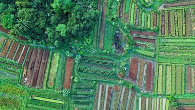 Land: How Is It Mapped and How Have We Destroyed It?