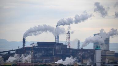 Does Pollution Affect Intelligence?