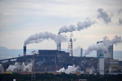 Does Pollution Affect Intelligence?
