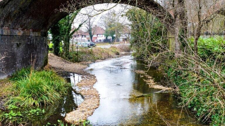 Charity Joins to Protect the River Wandle