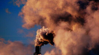 What Would Happen if We Stopped Polluting Today?