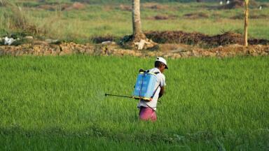 The Pros & Cons of Pesticides and Fertilizers