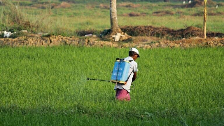 The Pros & Cons of Pesticides and Fertilizers