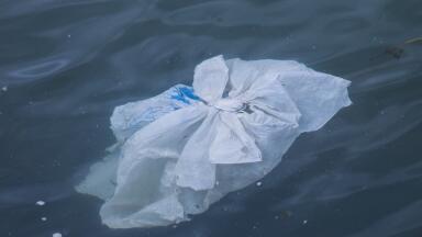 EU Law to Reduce Billions of Plastic Bags Used Every Year