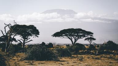 Could Solar Power Be the Answer to Africa’s Energy Crisis?
