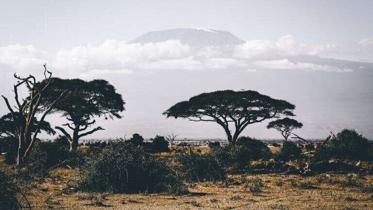 Could Solar Power Be the Answer to Africa’s Energy Crisis?