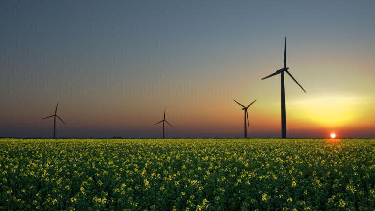 Renewable Energy Revolution Gains Momentum  