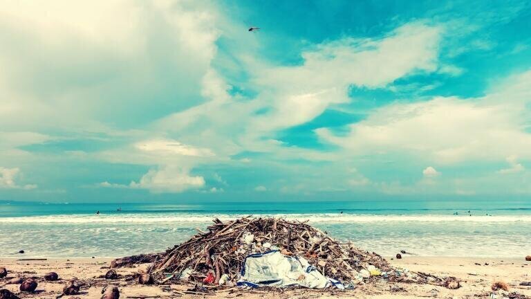Introducing pollution-watchdogs ‘Heal the Bay’