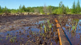 Bioremediation Product Successfully Used for Environmentally Safe Treatment of Refinery and Chemical Waste