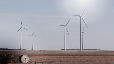 What Can Japan Learn from Scotland’s Green Energy Expertise?