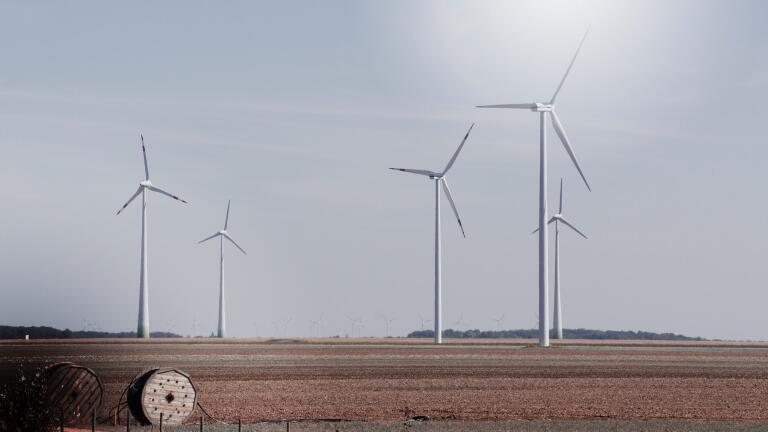 What Can Japan Learn from Scotland’s Green Energy Expertise?