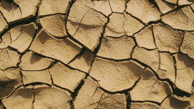 What is the Future of Soil Treatment?