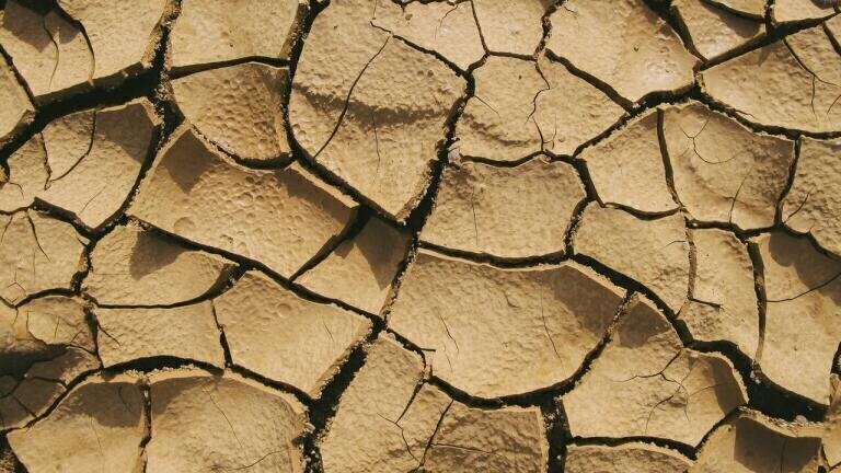 What is the Future of Soil Treatment?