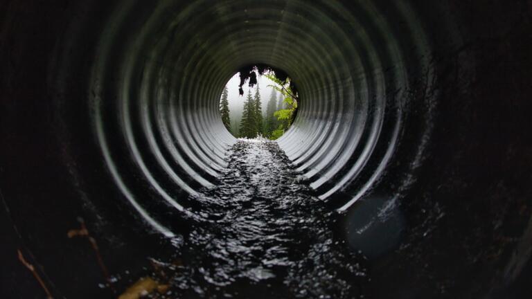 What Are Fatbergs?