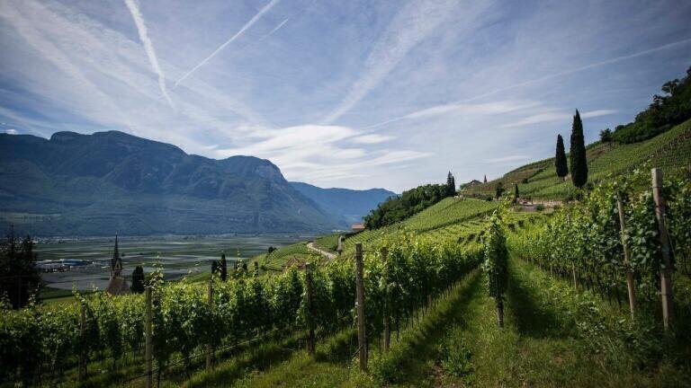 What is Biodynamic Farming?
