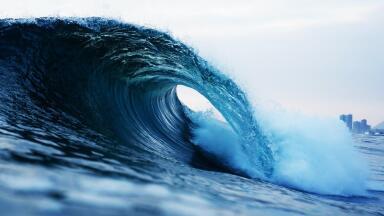 Prime Minister and his Wife Surf in Sewage