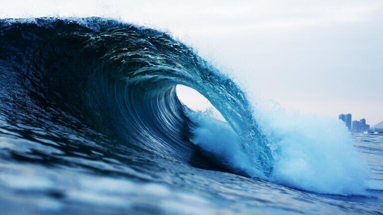 Prime Minister and his Wife Surf in Sewage