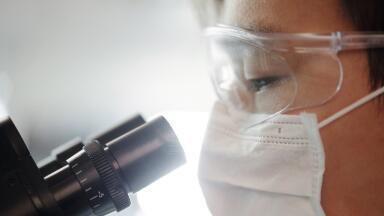 Methane-Mopping Bacteria Could Help Environment