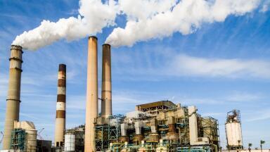 What is Pollution Adaptation?
