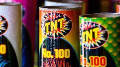 Plant vs TNT – Who Will Win?