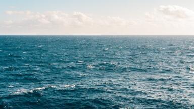 Scientists Attempt to Launch Human Noise Monitoring Network for UK Seas