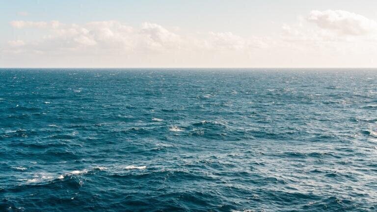 Scientists Attempt to Launch Human Noise Monitoring Network for UK Seas