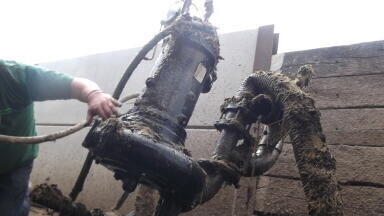 Pump is Top Lot at Rugby Farmers Mart