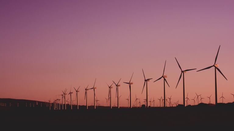 Argentina Aims to Reach 8% Renewable Energy Target Within Two Years