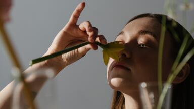 What is a Pollution Sniffer?