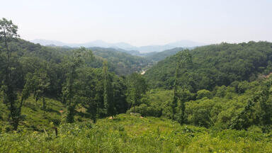 South Korea Opts for Green Energy