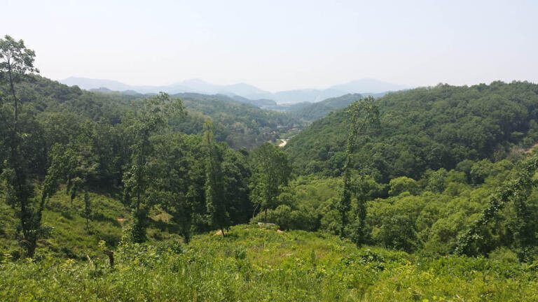 South Korea Opts for Green Energy