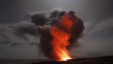 How Does War Impact the Environment?