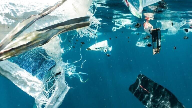 Why Are Our Oceans So Polluted?