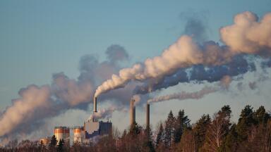 What’s the Difference Between Natural and Manmade Pollution?