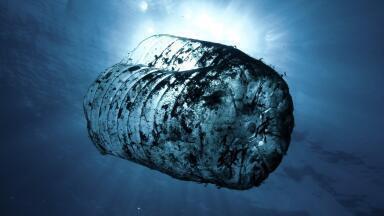 How Does Water Pollution Affect the Environment?