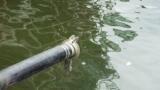 Development with Oil & Gas Clients Continues with New Contract Awarded for Wastewater Treatment Plant